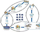 늌(zhun)(xin)
